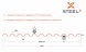 Профнастил C21 SteelX TIAR50