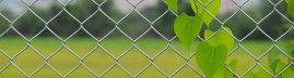 Сетка рабица оцинкованная 55х55 1,5х10м