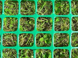 Сетка профессиональная от кротов для грядок из ДПК 1х10 м.