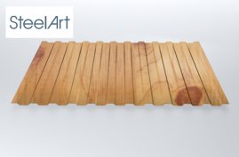 Профнастил C10 SteelX SteelArt
